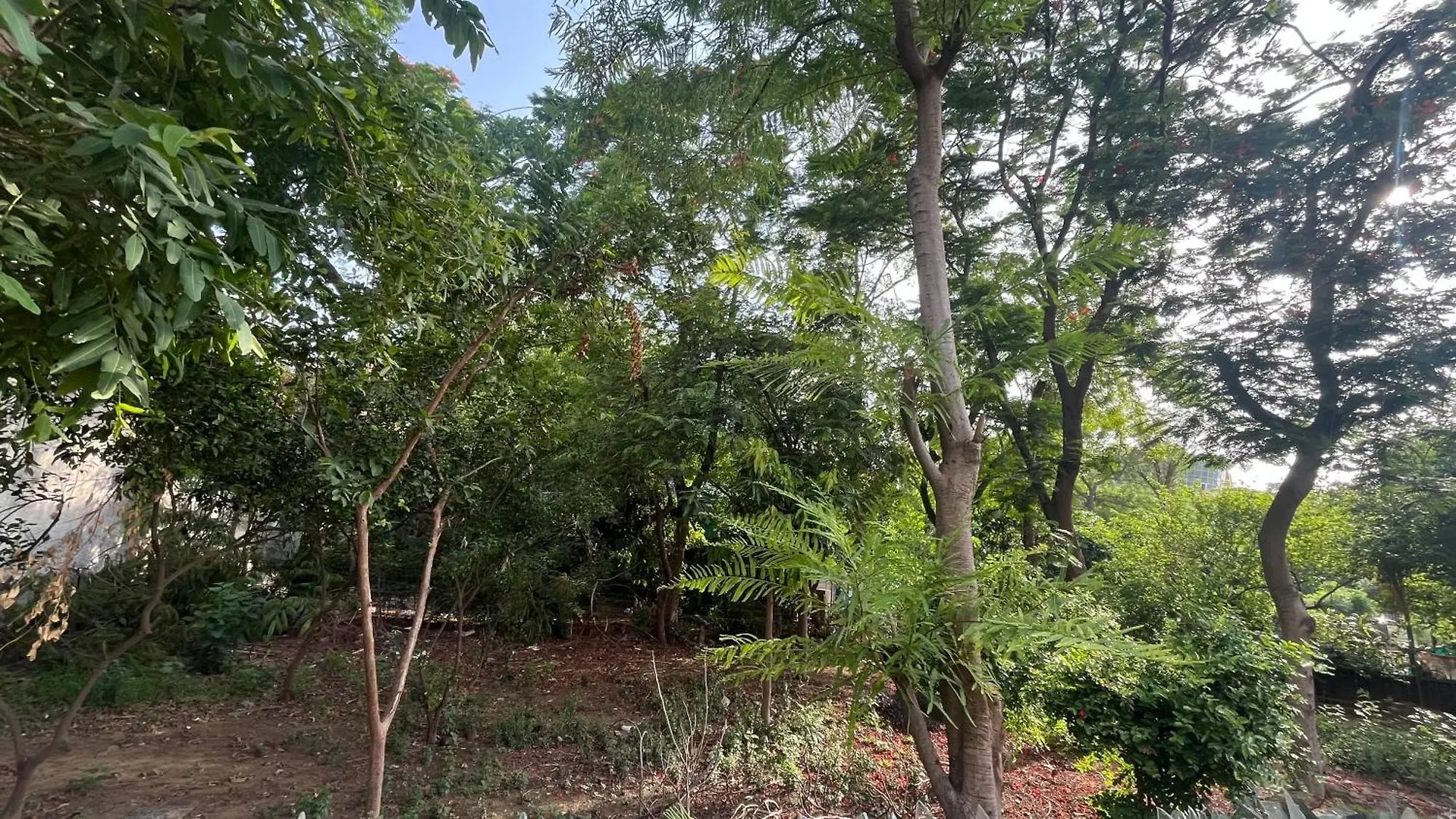 Villa The Urban Oasis Gurgaon